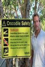 Watch Swimming With Crocodiles Moviesjoy