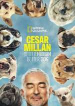Watch Cesar Millan: Better Human Better Dog Moviesjoy