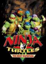 Watch Ninja Turtles: The Next Mutation Moviesjoy