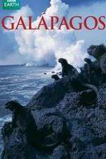 Watch Galapagos Moviesjoy