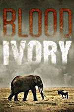 Watch Blood Ivory Moviesjoy