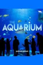 Watch The Aquarium Moviesjoy