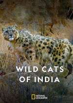 Watch Wild Cats of India Moviesjoy