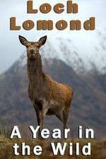 Watch Loch Lomond: A Year in the Wild Moviesjoy