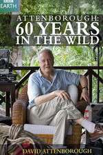 Watch Attenborough 60 Years in the Wild Moviesjoy