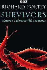 Watch Survivors: Nature's Indestructible Creatures Moviesjoy