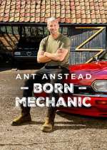 Watch Ant Anstead: Born Mechanic Moviesjoy