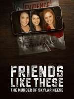 friends like these: the murder of skylar neese season 1 episode 1 tv poster