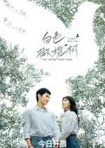 Watch The White Olive Tree Moviesjoy