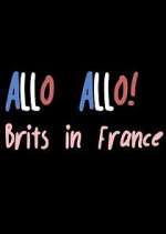 Watch Allo Allo! Brits in France Moviesjoy