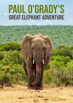 Watch Paul O'Grady's Great Elephant Adventure Moviesjoy