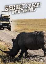 Watch Secret Safari: Into the Wild Moviesjoy