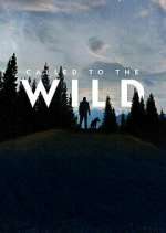 Watch Called to the Wild Moviesjoy