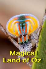 Watch Magical Land of Oz Moviesjoy