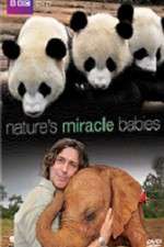 Watch Natures Miracle Babies Moviesjoy