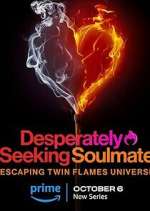 Watch Desperately Seeking Soulmate: Escaping Twin Flames Universe Moviesjoy