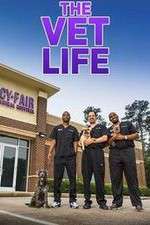 Watch The Vet Life Moviesjoy