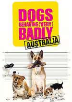 Watch Dogs Behaving (Very) Badly Australia Moviesjoy