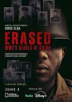 Watch Erased: WW2's Heroes of Color Moviesjoy