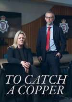 Watch To Catch a Copper Moviesjoy