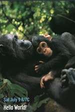 Watch Hello World! Moviesjoy