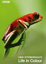 Watch Attenborough's Life in Colour Moviesjoy