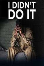 Watch I Didn't Do It (2012) Moviesjoy