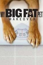 Watch My Big Fat Pet Makeover Moviesjoy