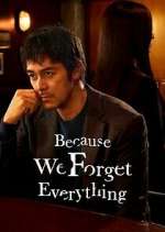 Watch Because We Forget Everything Moviesjoy