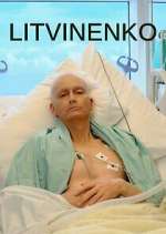 Watch Litvinenko Moviesjoy