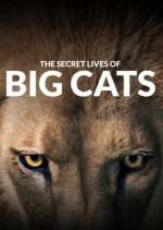 Watch The Secret Lives of Big Cats Moviesjoy