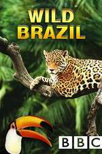 Watch Wild Brazil Moviesjoy