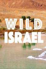 Watch Wild Israel Moviesjoy