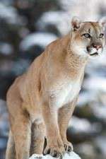 Watch Race of Life Moviesjoy