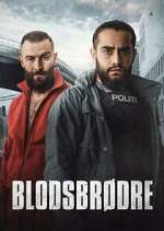 Watch BlodsbrÃ¸dre Moviesjoy