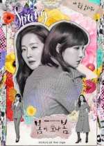 Watch Spring Turns to Spring Moviesjoy