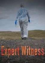 Watch Expert Witness Moviesjoy