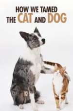 Watch How We Tamed the Cat and Dog Moviesjoy