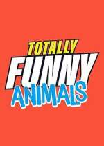 Watch Totally Funny Animals Moviesjoy