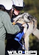 Watch Wild Ops Moviesjoy