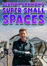 Watch Dermot Bannon's Super Small Spaces Moviesjoy