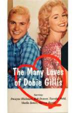 Watch The Many Loves of Dobie Gillis Moviesjoy