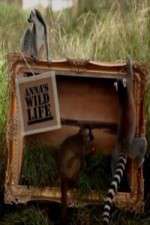 Watch Anna's Wild Life Moviesjoy