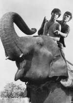 Watch Maya Moviesjoy