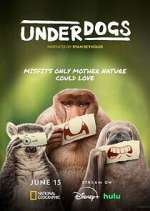 Watch Underdogs Moviesjoy