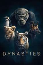Watch Dynasties Moviesjoy