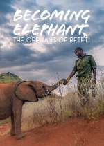 Watch Becoming Elephant: The Orphans Of Reteti Moviesjoy