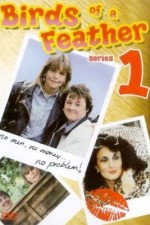 Watch Birds of a Feather Moviesjoy