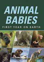 Watch Animal Babies: First Year on Earth Moviesjoy