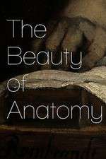 Watch The Beauty of Anatomy Moviesjoy